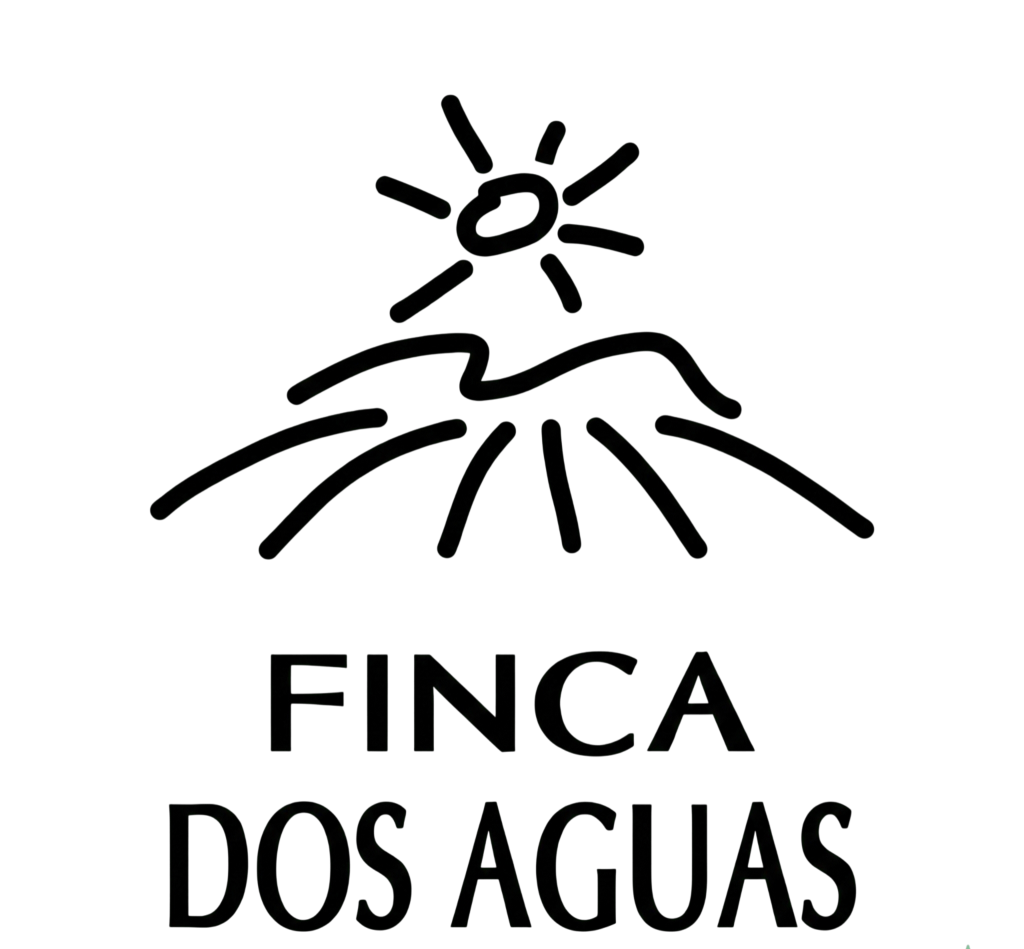 Gemini Generated Image Jxiks1jxiks1jxik Photoroom 1024x949
